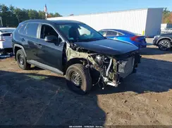 2T3G1RFV4KC048703 2019 TOYOTA RAV 4