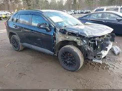 2T3G1RFV4KC049365 2019 TOYOTA RAV 4