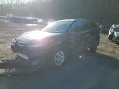 2T3G1RFV4KW001119 2019 TOYOTA RAV 4