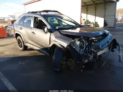 2T3G1RFV4MC234227 2021 TOYOTA RAV 4