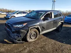 2T3G1RFV4MW224263 2021 TOYOTA RAV 4