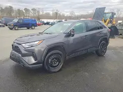 2T3G1RFV4PC344781 2023 TOYOTA RAV 4