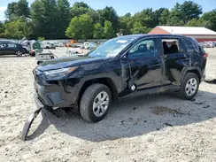 2T3G1RFV4PW330975 2023 TOYOTA RAV 4