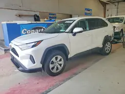 2T3G1RFV4PW332192 2023 TOYOTA RAV 4