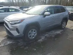 2T3G1RFV4PW353284 2023 TOYOTA RAV 4