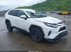 2T3G1RFV4RC418980 2024 TOYOTA RAV 4