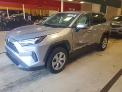 2T3G1RFV4RC446388 2024 TOYOTA RAV 4