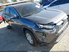 2T3G1RFV4RC454541 2024 TOYOTA RAV 4