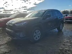 2T3G1RFV4RC474210 2024 TOYOTA RAV 4