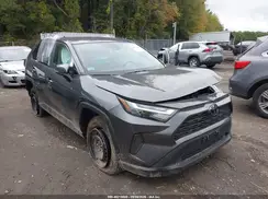 2T3G1RFV4RC486700 2024 TOYOTA RAV 4