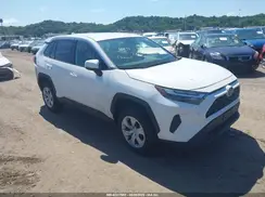 2T3G1RFV4RW426477 2024 TOYOTA RAV 4