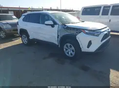 2T3G1RFV4RW467031 2024 TOYOTA RAV 4