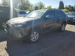 2T3G1RFV5KC030257 2019 TOYOTA RAV 4
