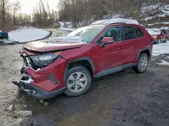 2T3G1RFV5KC052629 2019 TOYOTA RAV 4