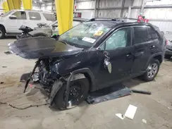 2T3G1RFV5LC064944 2020 TOYOTA RAV 4