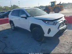 2T3G1RFV5PC381256 2023 TOYOTA RAV 4