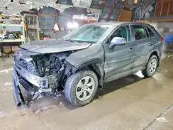 2T3G1RFV5PW341533 2023 TOYOTA RAV 4