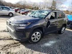 2T3G1RFV6KC020224 2019 TOYOTA RAV 4