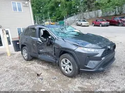 2T3G1RFV6KC021650 2019 TOYOTA RAV 4