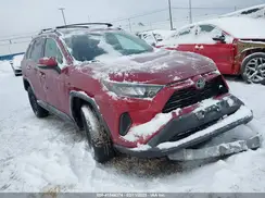 2T3G1RFV6KC031823 2019 TOYOTA RAV 4
