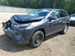 2T3G1RFV6PC377796 2023 TOYOTA RAV 4