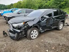 2T3G1RFV6PC391987 2023 TOYOTA RAV 4