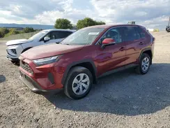 2T3G1RFV6PW331495 2023 TOYOTA RAV 4