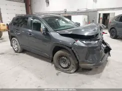 2T3G1RFV6PW332226 2023 TOYOTA RAV 4