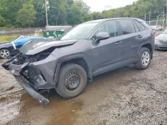 2T3G1RFV6RC411514 2024 TOYOTA RAV 4