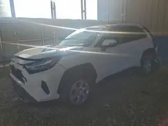 2T3G1RFV6RC448983 2024 TOYOTA RAV 4