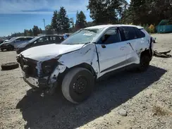 2T3G1RFV6RW415240 2024 TOYOTA RAV 4