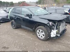 2T3G1RFV6SC559331 2025 TOYOTA RAV 4