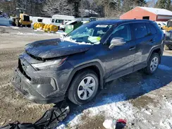 2T3G1RFV6SW576029 2025 TOYOTA RAV 4
