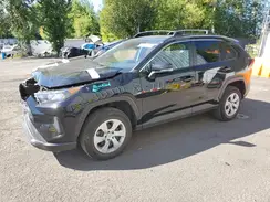 2T3G1RFV7KW080320 2019 TOYOTA RAV 4