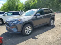 2T3G1RFV7LW117402 2020 TOYOTA RAV 4