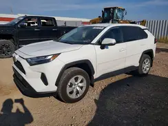 2T3G1RFV7RC407746 2024 TOYOTA RAV 4