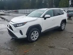 2T3G1RFV8KC004462 2019 TOYOTA RAV 4