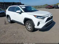 2T3G1RFV8KW080598 2019 TOYOTA RAV 4
