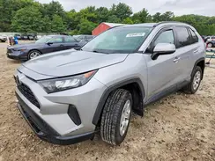 2T3G1RFV8MW220166 2021 TOYOTA RAV 4
