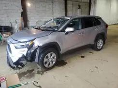 2T3G1RFV8PC385043 2023 TOYOTA RAV 4