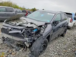 2T3G1RFV8RC417234 2024 TOYOTA RAV 4