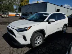 2T3G1RFV8RC422479 2024 TOYOTA RAV 4
