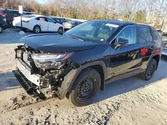 2T3G1RFV8RC479149 2024 TOYOTA RAV 4