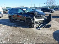 2T3G1RFV9LW134265 2020 TOYOTA RAV 4