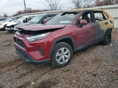 2T3G1RFV9PW330129 2023 TOYOTA RAV 4