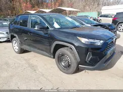 2T3G1RFV9RC454793 2024 TOYOTA RAV 4