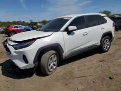 2T3G1RFV9RC464403 2024 TOYOTA RAV 4