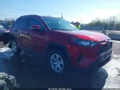 2T3G1RFVXKC011400 2019 TOYOTA RAV 4