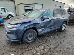 2T3G1RFVXPC335499 2023 TOYOTA RAV 4