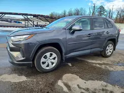 2T3G1RFVXPW335579 2023 TOYOTA RAV 4